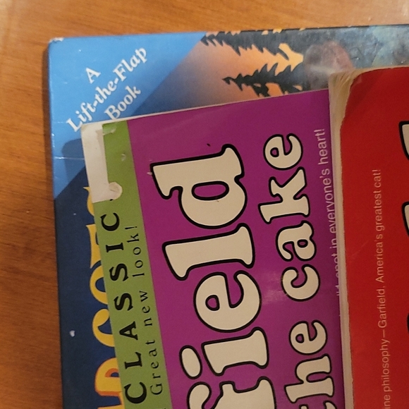 Garfield - Picture 3 of 4